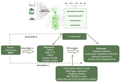 Causal relationship between air pollution and infections: a two-sample Mendelian randomization study
